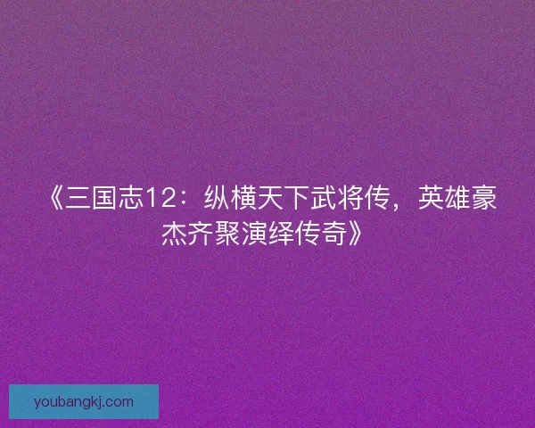 《三国志12：纵横天下武将传，英雄豪杰齐聚演绎传奇》